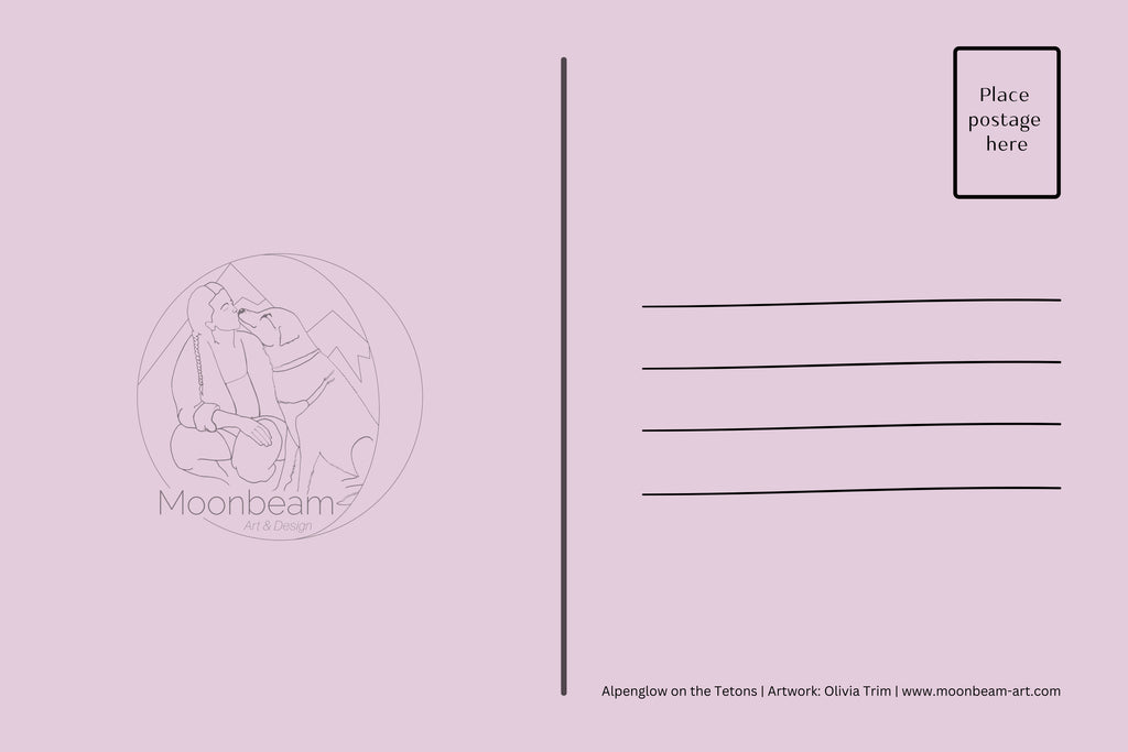 Teton Reflections Postcard