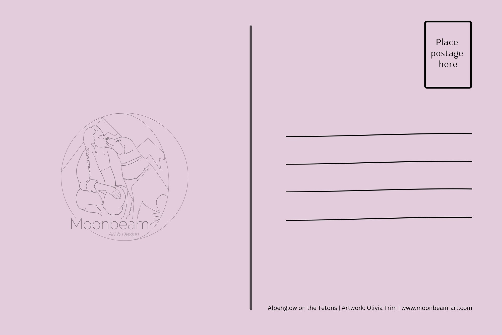 Teton Reflections Postcard