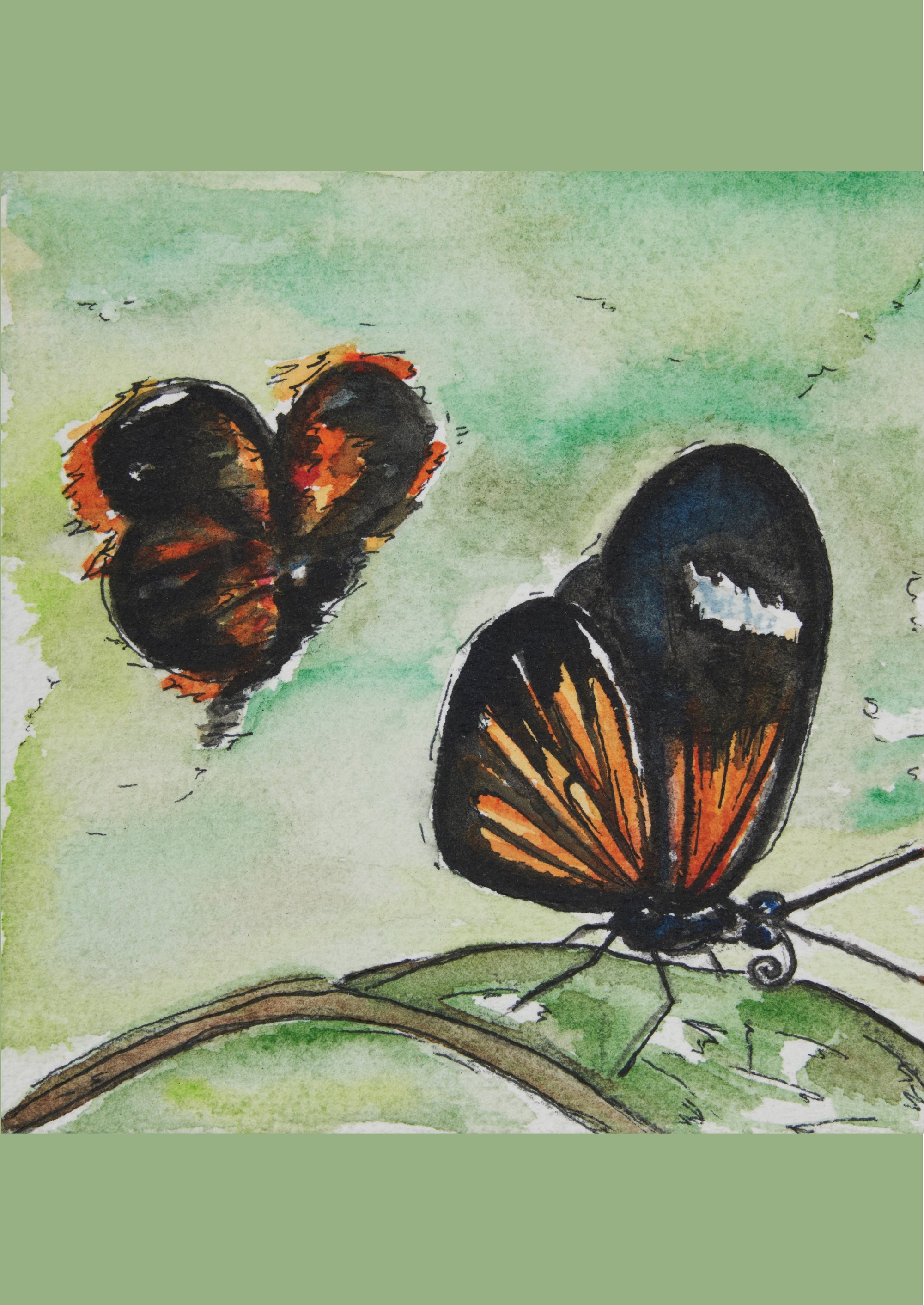 Butterflies in Flight Greeting Card