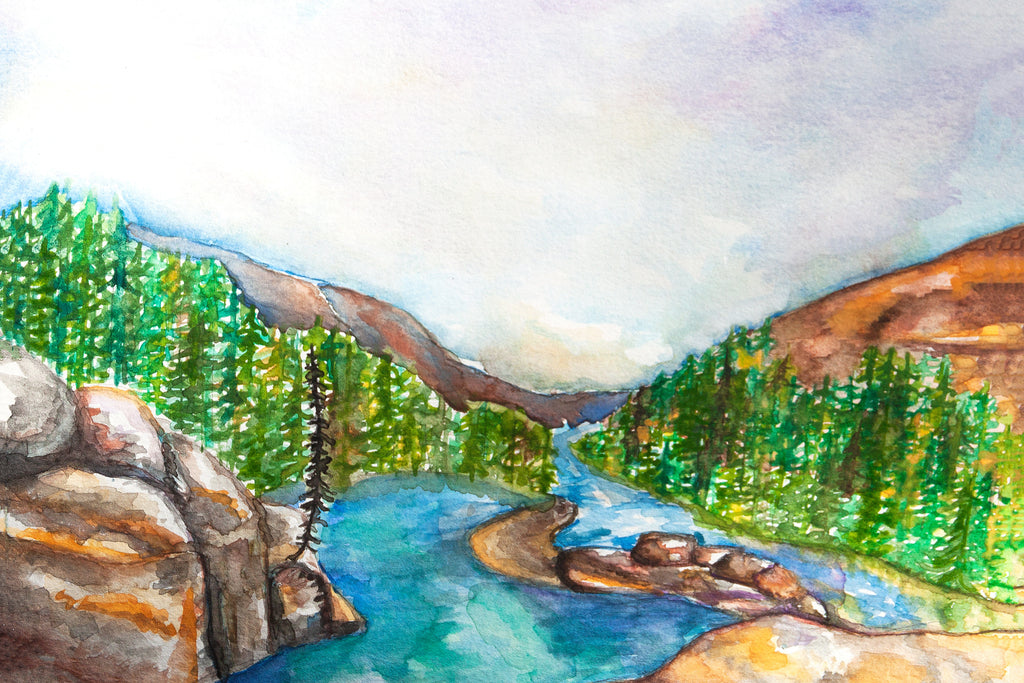 Animas River Postcard