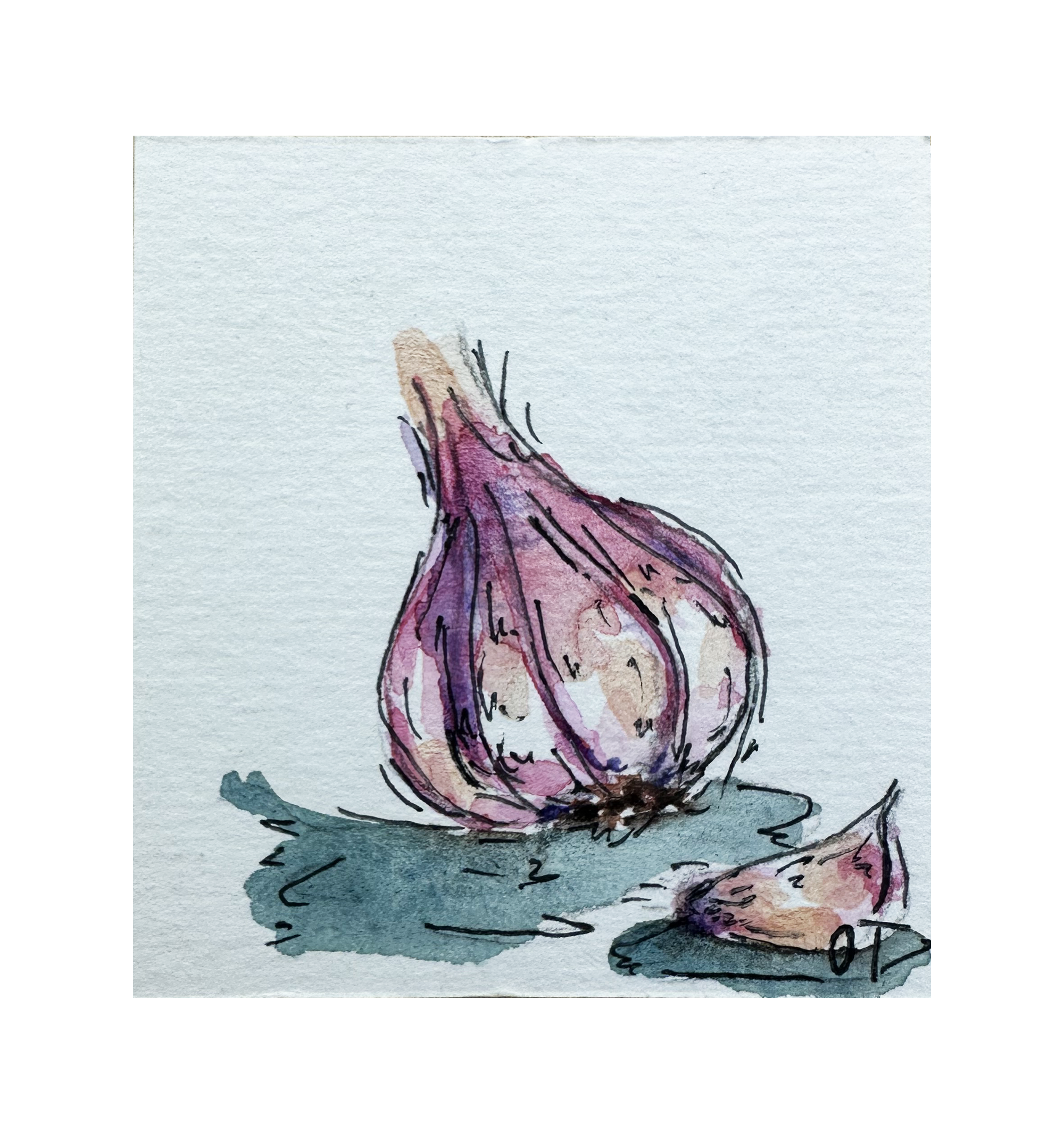 Garlic Bulb Mini Original Painting