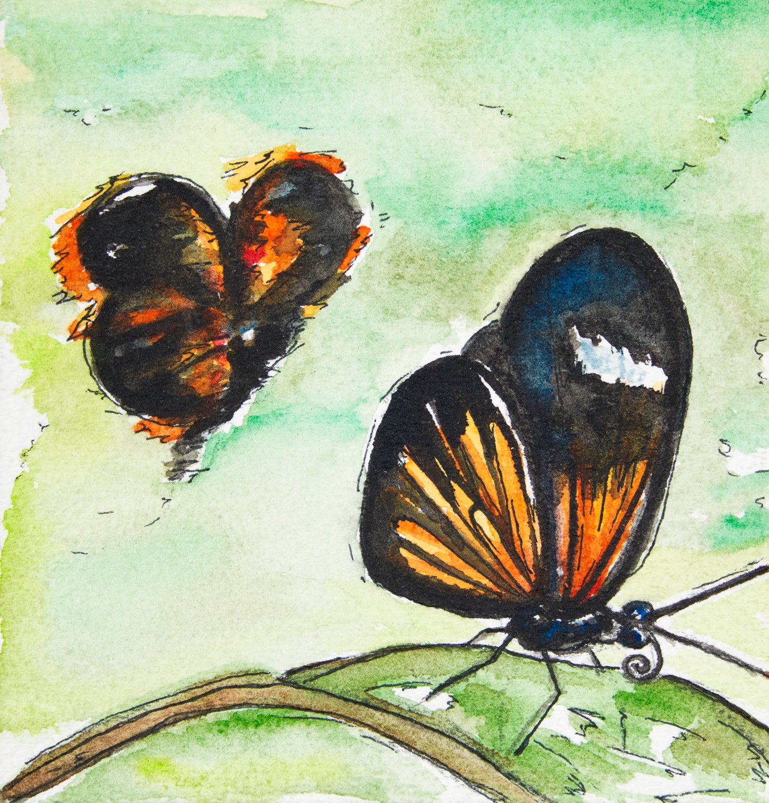 Butterflies in Flight Art Print