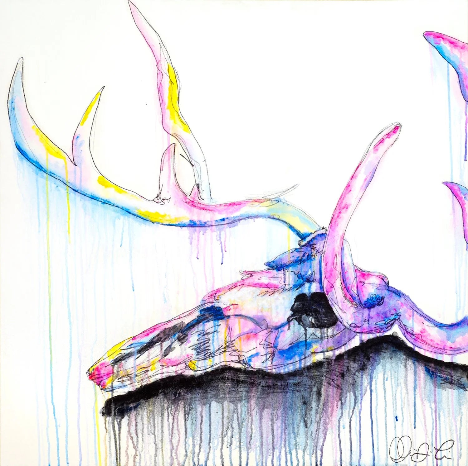 Elk Skull Art Print