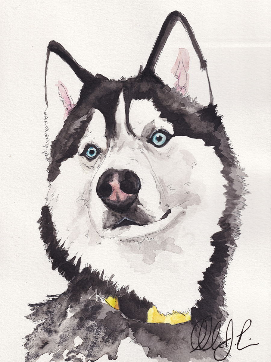 Custom Pet Portrait (8x10)