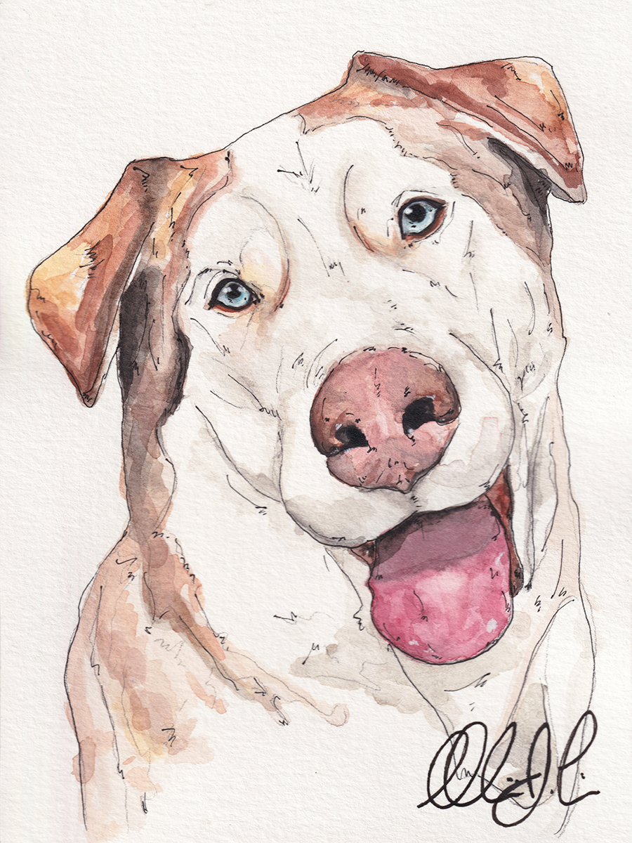 Custom Pet Portrait (5x7)