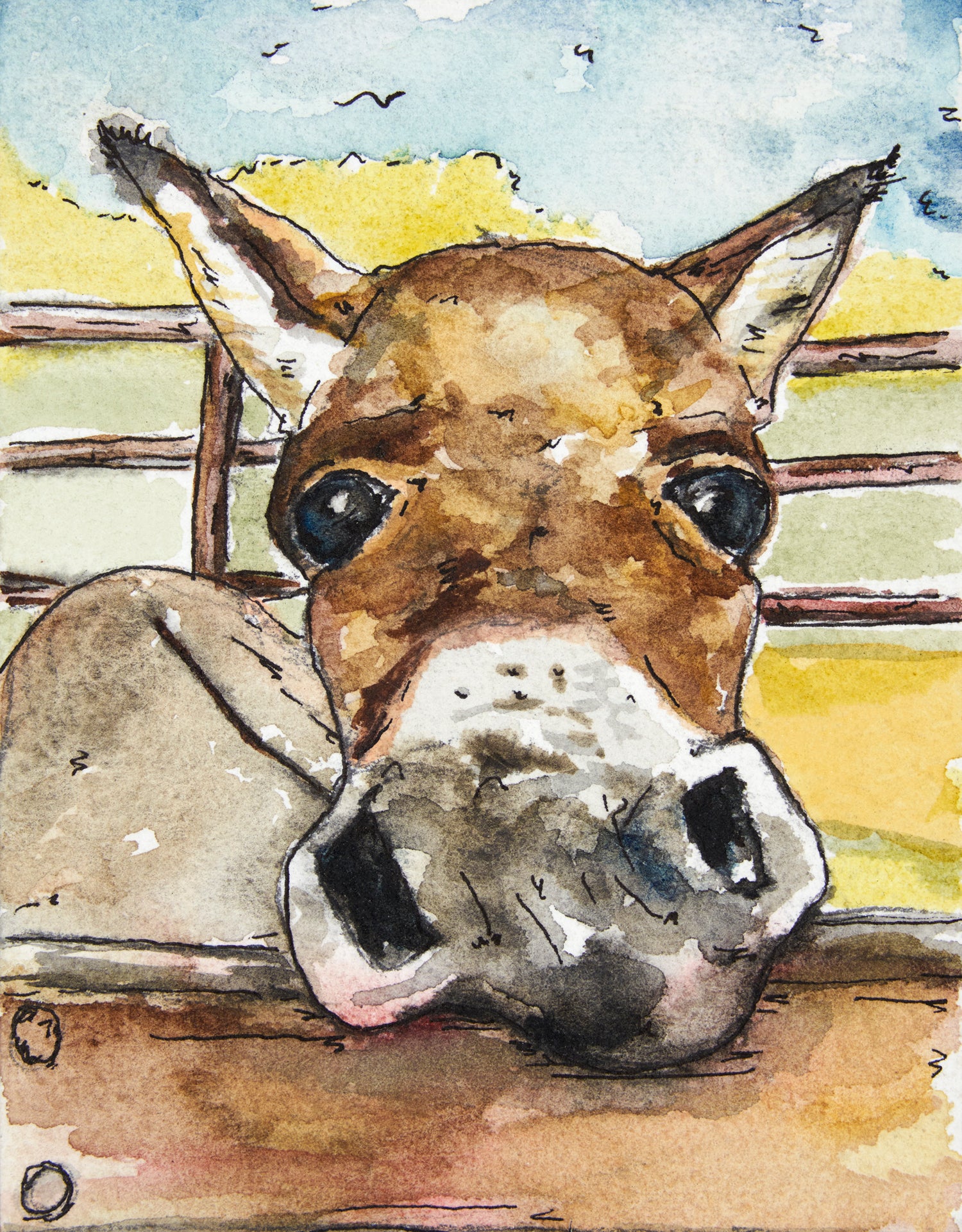 Pearl the Donkey Art Print