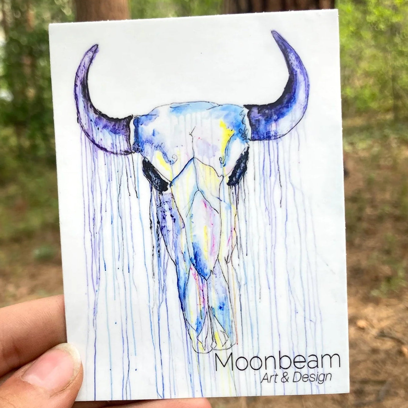 Bison Skull Sticker