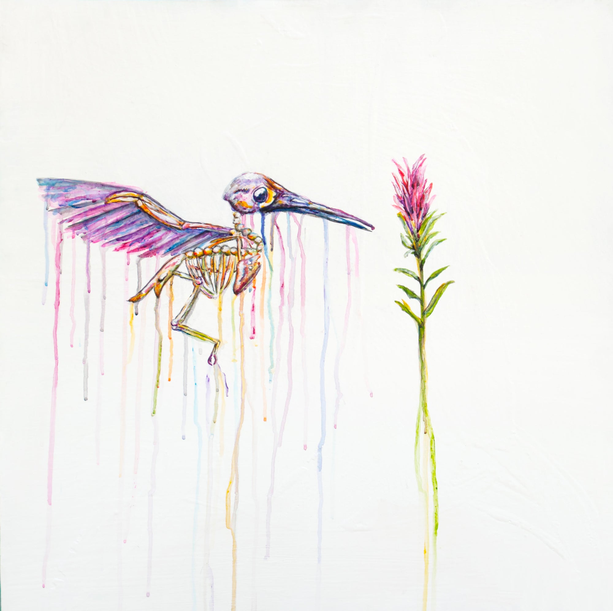Hummingbird with Wildflower Art Print